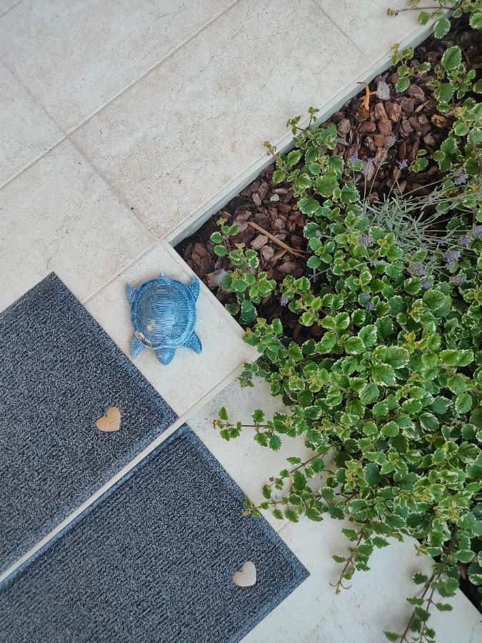 Mentana Suite Verona Exterior foto